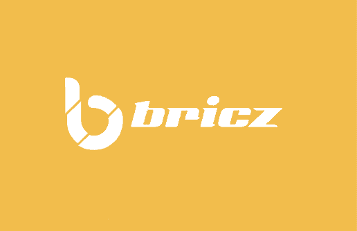 customers-Bricz@2x
